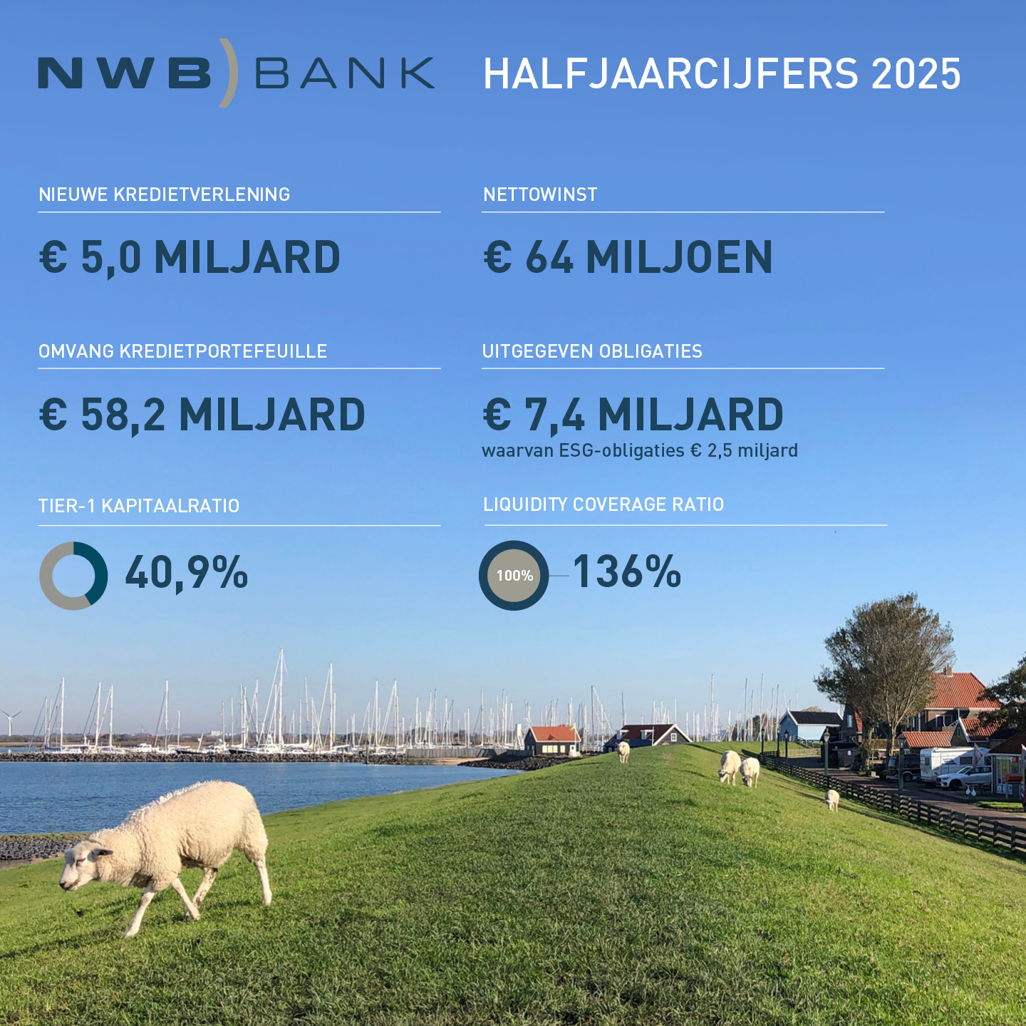 2025 NWB Bank halfjaarcijfers.jpg